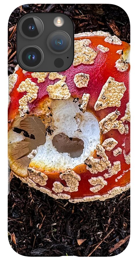 Mushroom 2 - Phone Case