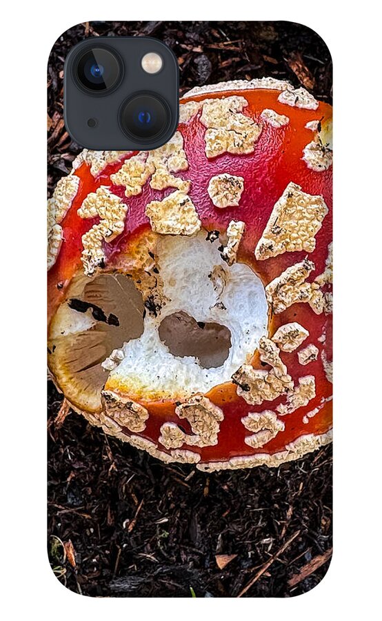 Mushroom 2 - Phone Case