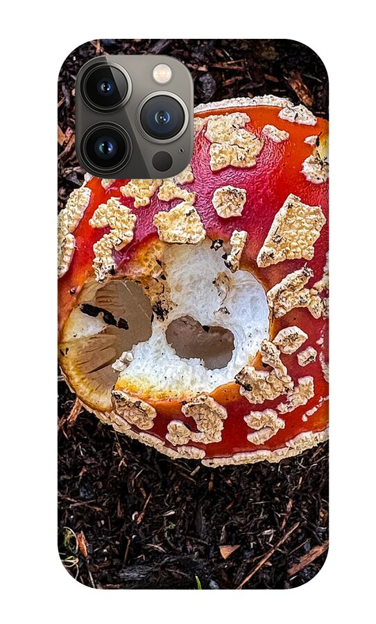 Mushroom 2 - Phone Case