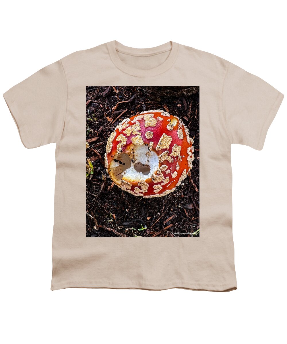 Mushroom 2 - Youth T-Shirt