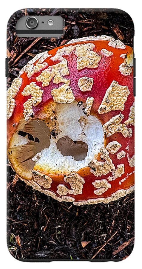 Mushroom 2 - Phone Case