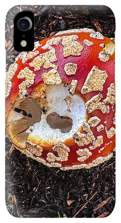 Mushroom 2 - Phone Case