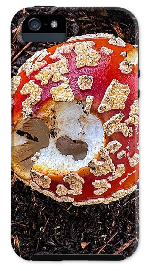 Mushroom 2 - Phone Case