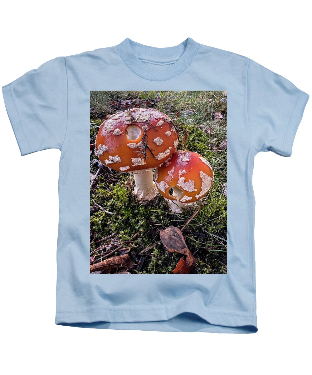 Mushrooms  - Kids T-Shirt