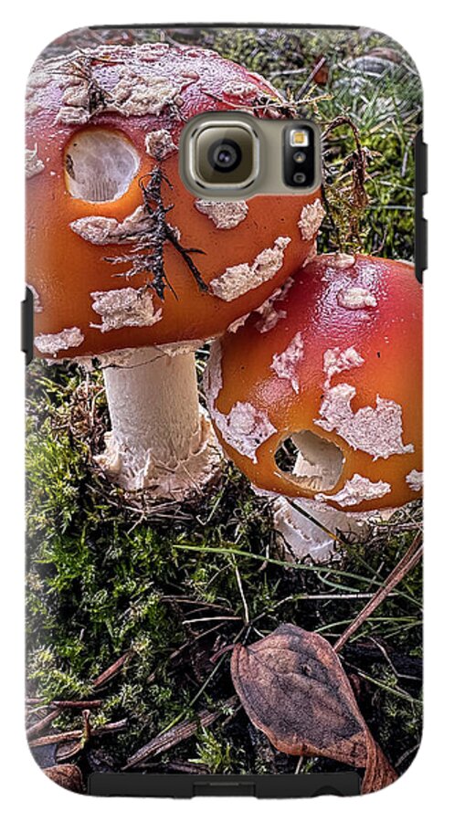 Mushrooms  - Phone Case
