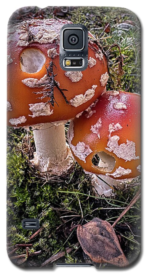 Mushrooms  - Phone Case