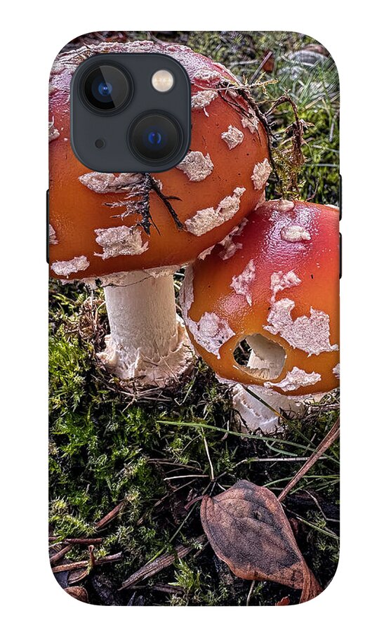 Mushrooms  - Phone Case