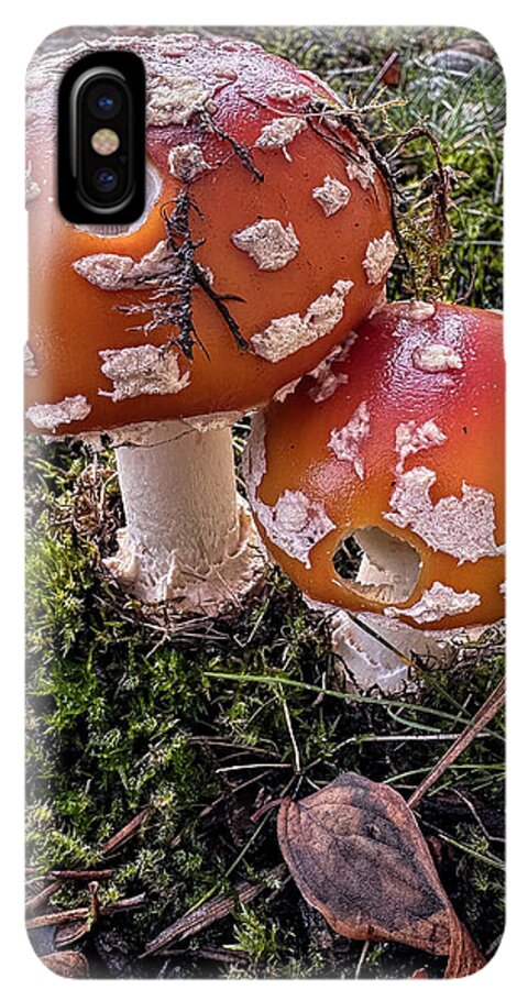 Mushrooms  - Phone Case