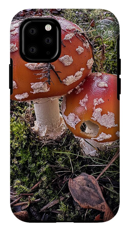 Mushrooms  - Phone Case