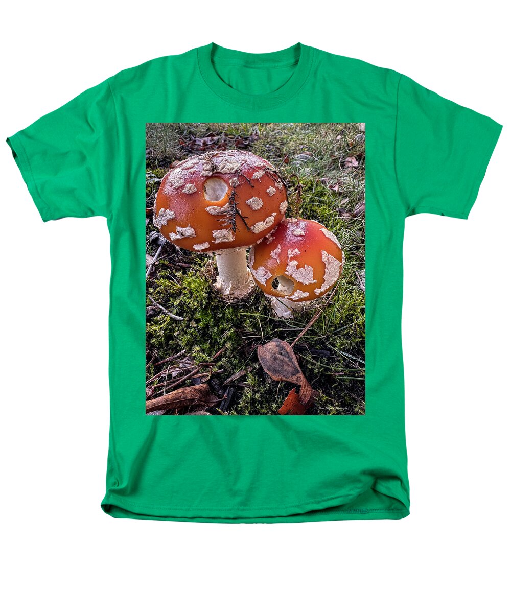 Mushrooms  - Men's T-Shirt  (Regular Fit)