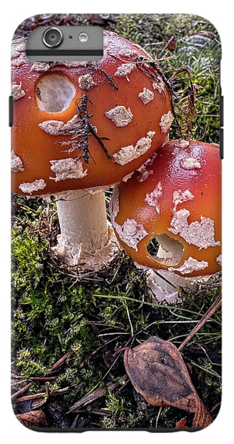 Mushrooms  - Phone Case