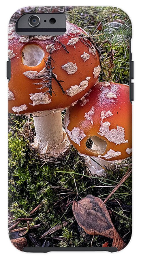 Mushrooms  - Phone Case
