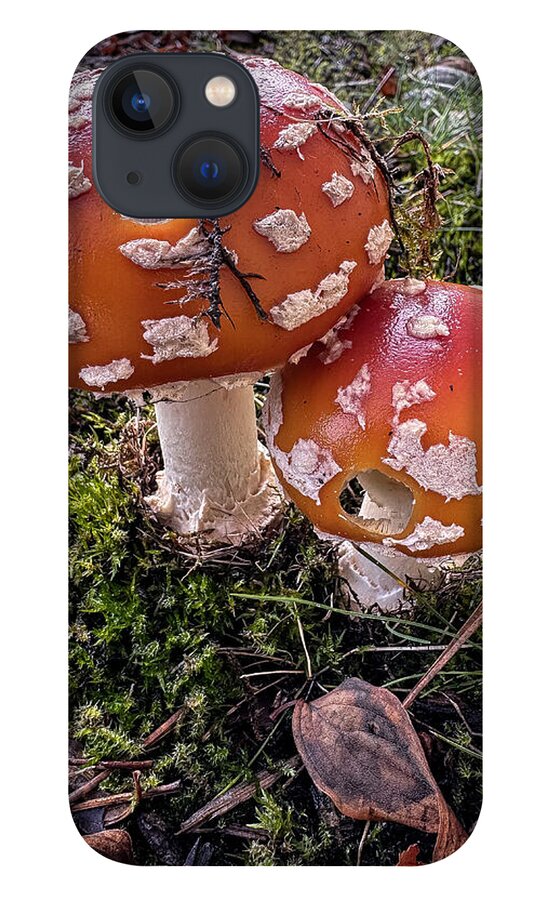 Mushrooms  - Phone Case