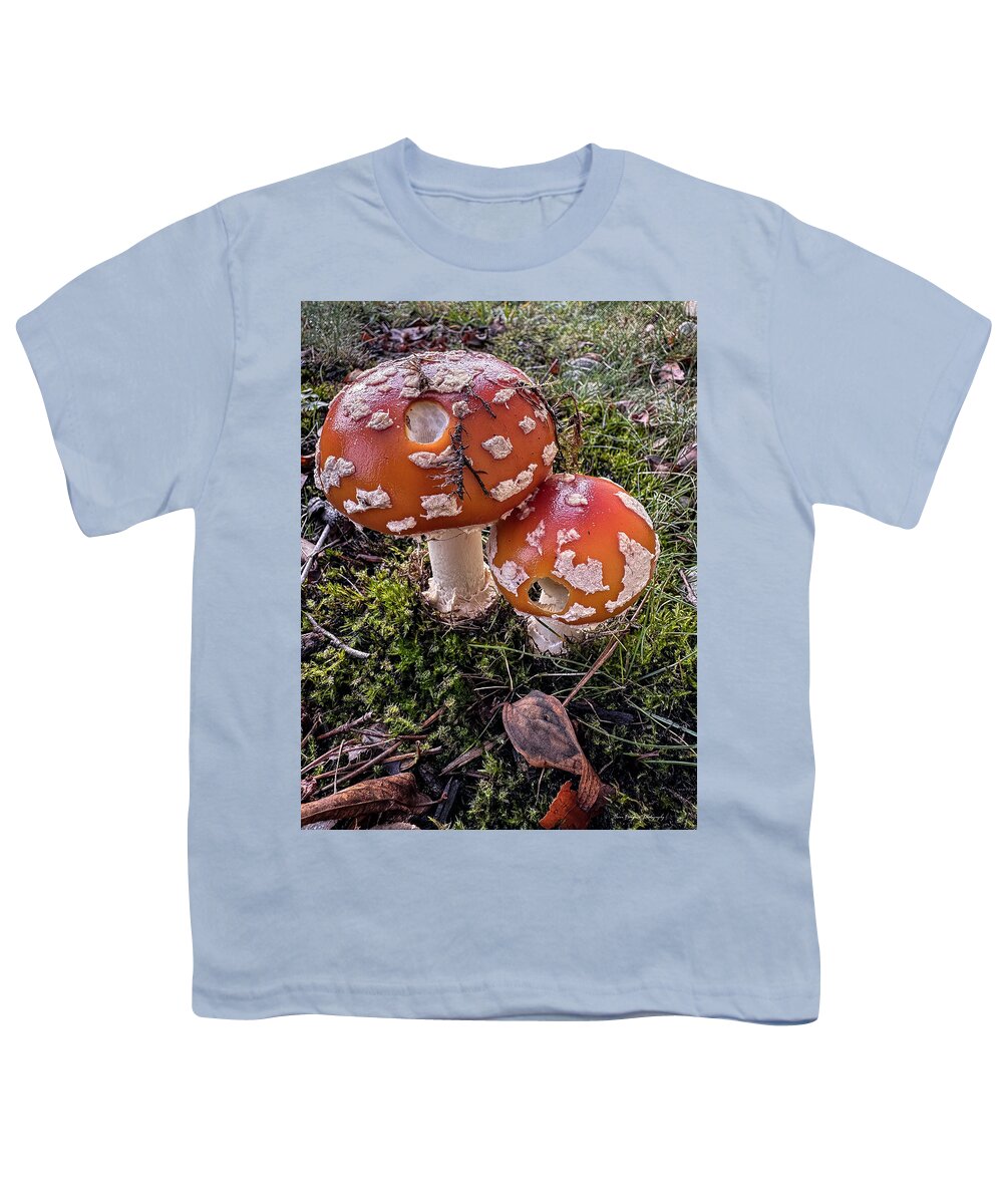 Mushrooms  - Youth T-Shirt