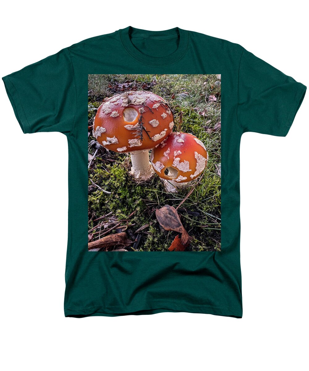 Mushrooms  - Men's T-Shirt  (Regular Fit)
