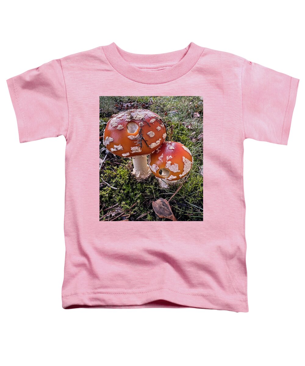 Mushrooms  - Toddler T-Shirt