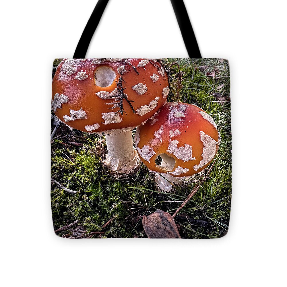 Mushrooms  - Tote Bag