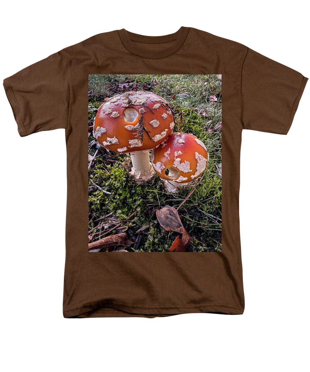Mushrooms  - Men's T-Shirt  (Regular Fit)