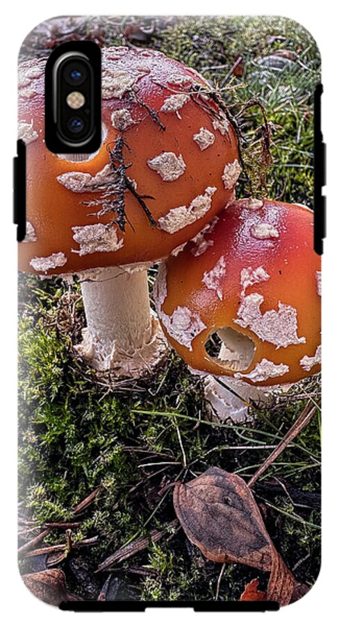 Mushrooms  - Phone Case
