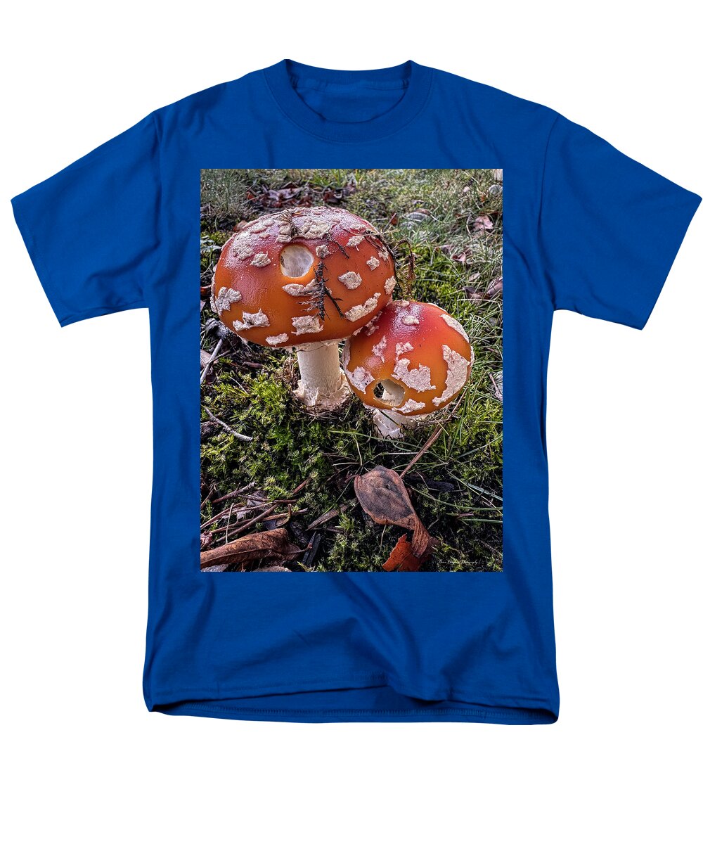Mushrooms  - Men's T-Shirt  (Regular Fit)