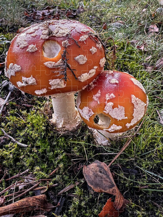 Mushrooms  - Puzzle