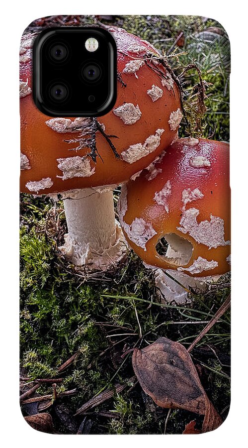 Mushrooms  - Phone Case