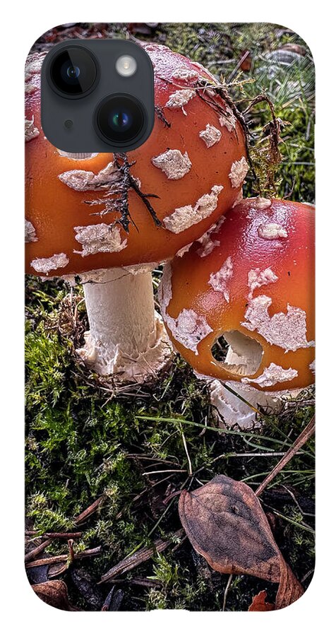 Mushrooms  - Phone Case