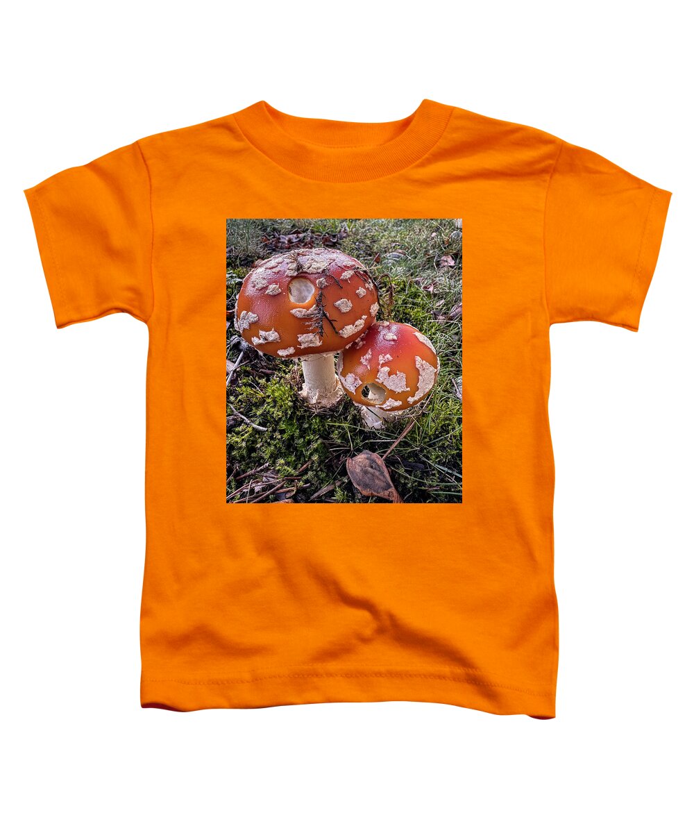 Mushrooms  - Toddler T-Shirt