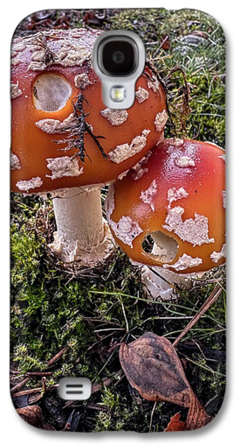 Mushrooms  - Phone Case