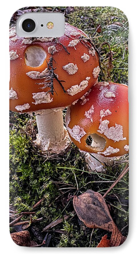 Mushrooms  - Phone Case