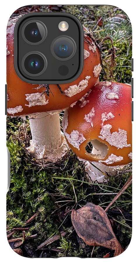 Mushrooms  - Phone Case