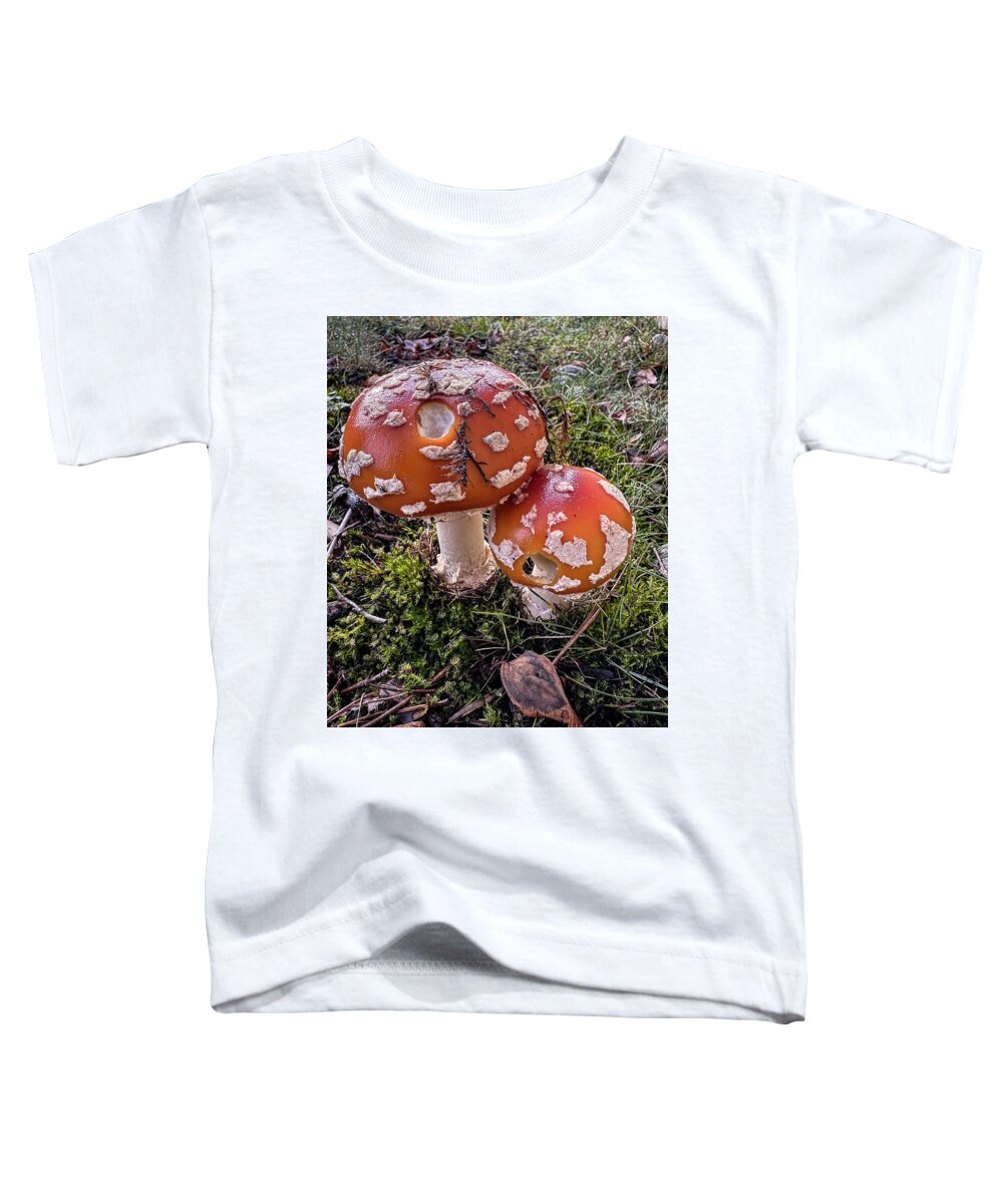 Mushrooms  - Toddler T-Shirt