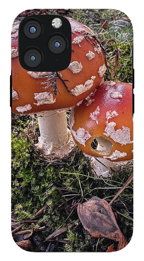 Mushrooms  - Phone Case