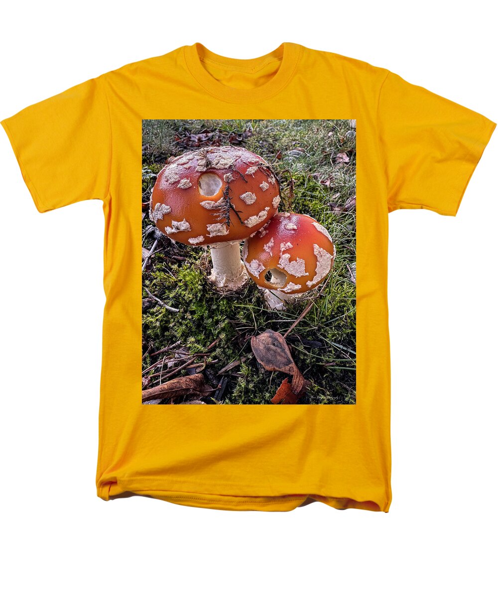Mushrooms  - Men's T-Shirt  (Regular Fit)