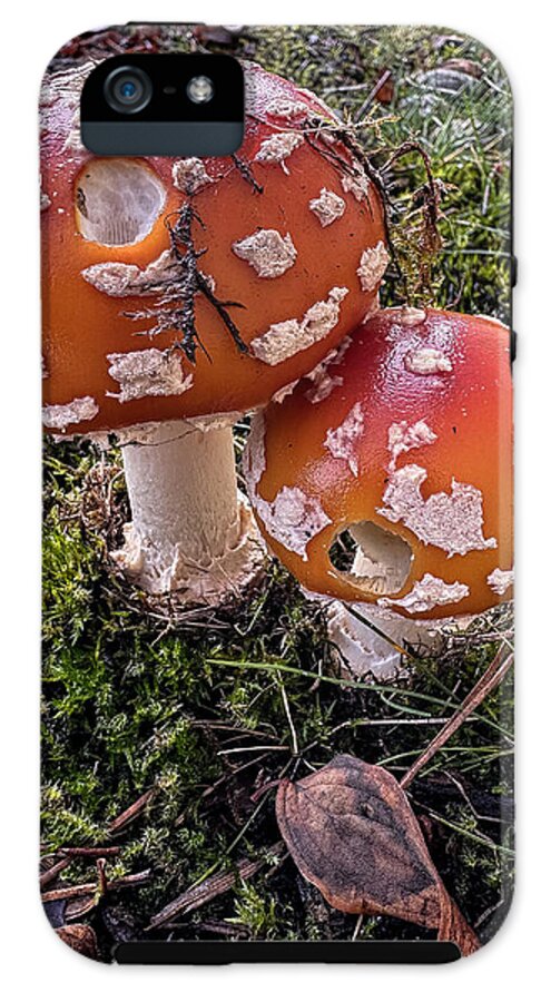 Mushrooms  - Phone Case