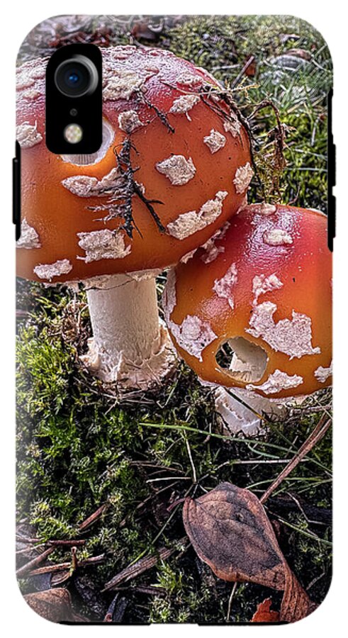 Mushrooms  - Phone Case