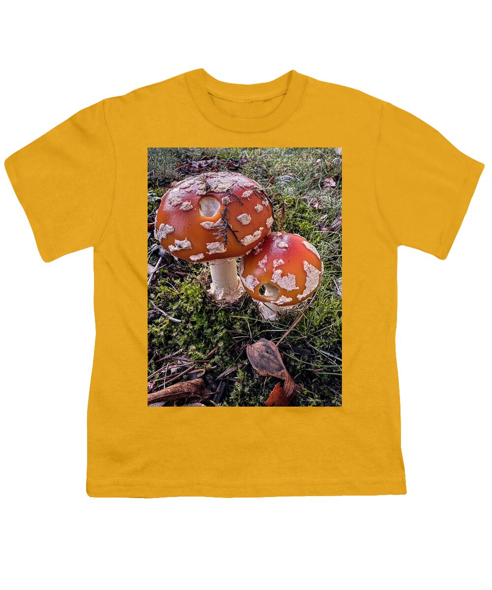 Mushrooms  - Youth T-Shirt