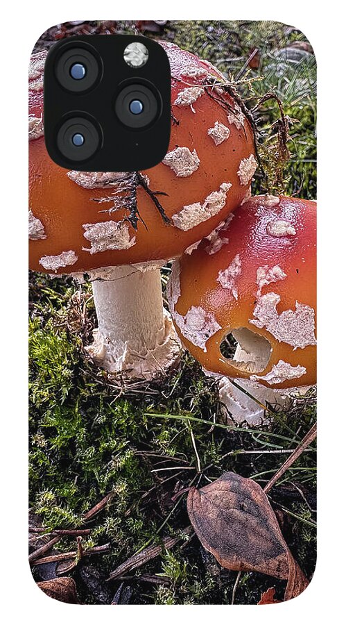Mushrooms  - Phone Case