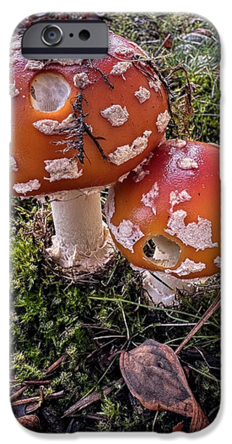 Mushrooms  - Phone Case