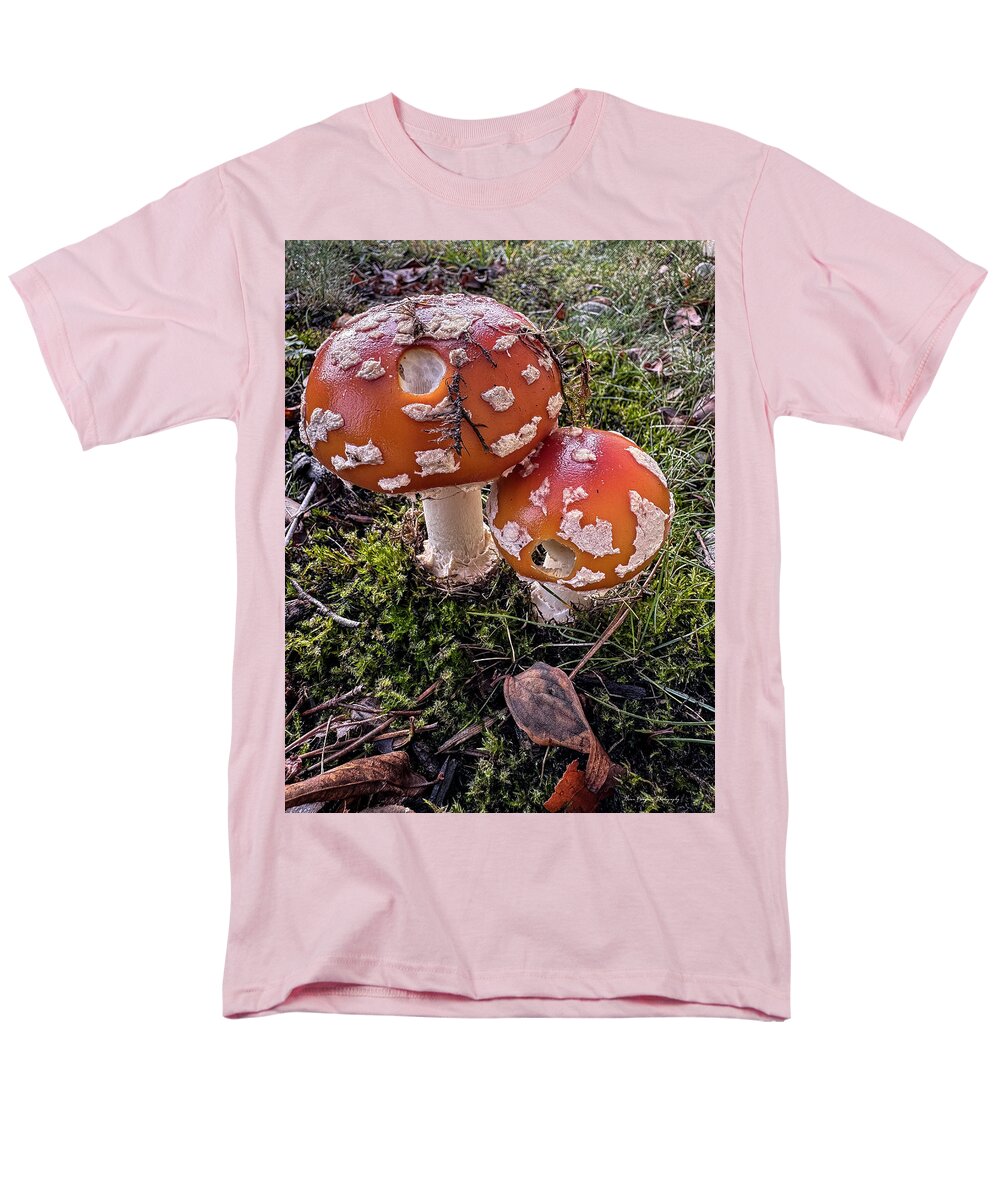 Mushrooms  - Men's T-Shirt  (Regular Fit)