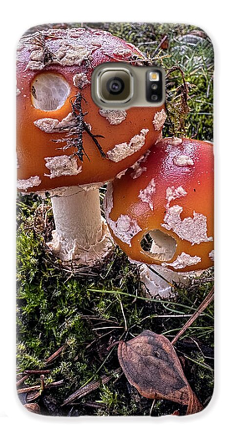 Mushrooms  - Phone Case