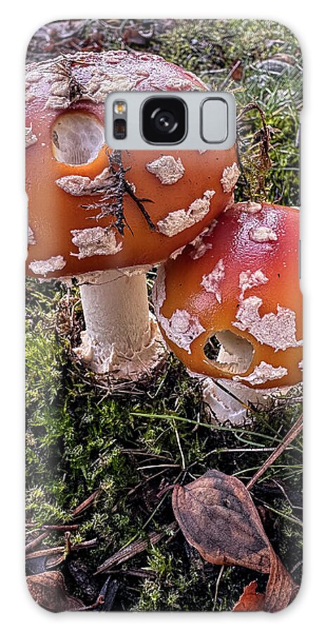Mushrooms  - Phone Case