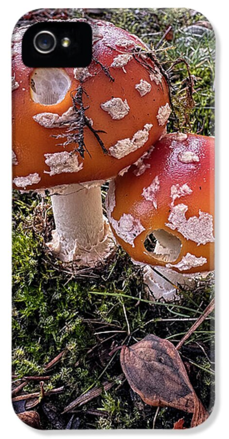 Mushrooms  - Phone Case