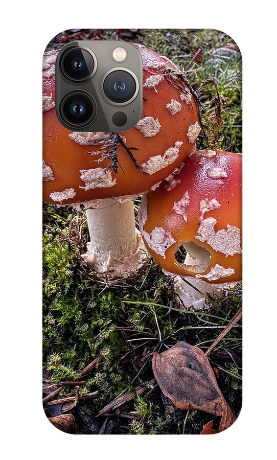 Mushrooms  - Phone Case