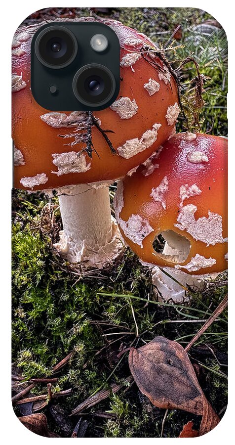Mushrooms  - Phone Case