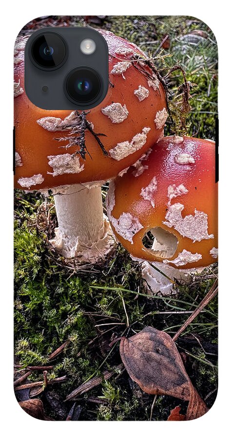 Mushrooms  - Phone Case