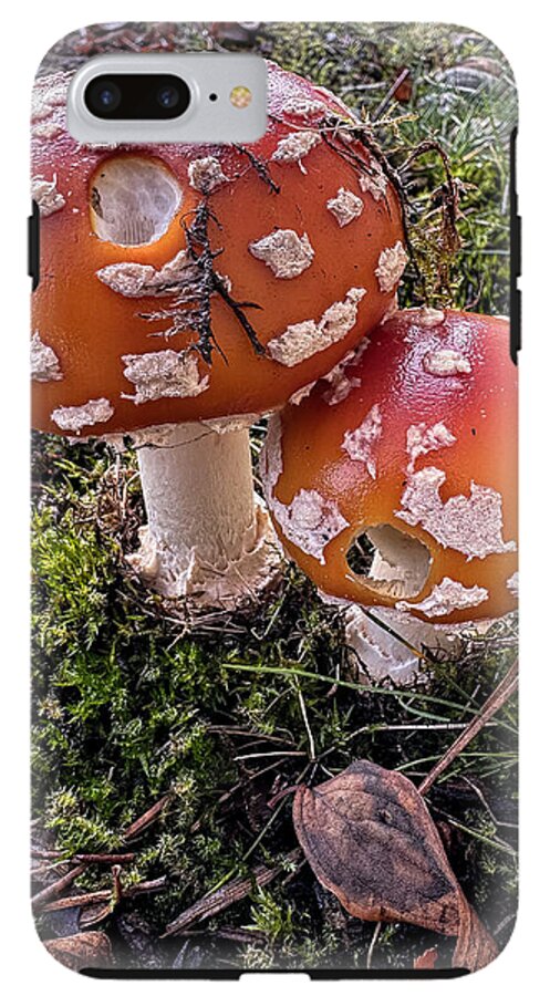 Mushrooms  - Phone Case