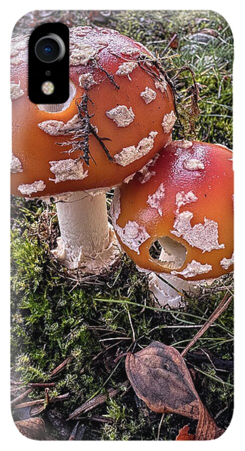 Mushrooms  - Phone Case