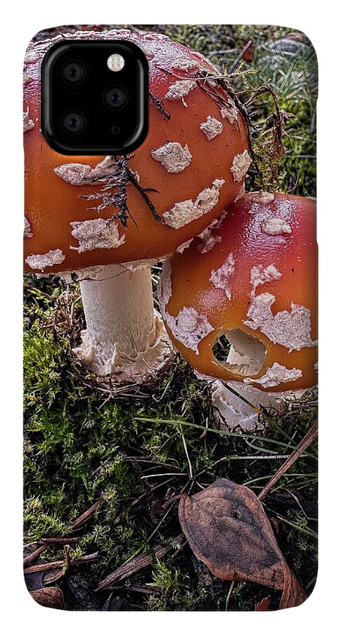 Mushrooms  - Phone Case