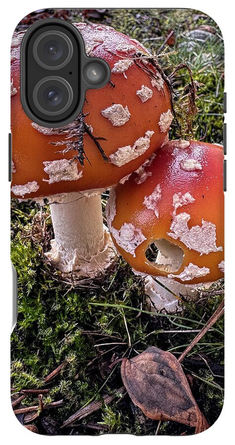 Mushrooms  - Phone Case
